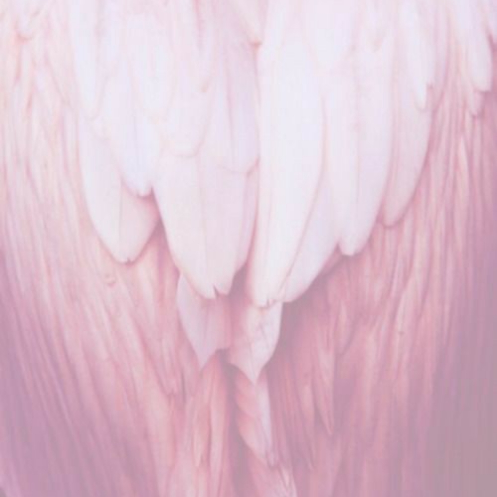💗Breast🌸Cancer💕Awareness🎀 - Picture 4 of 7